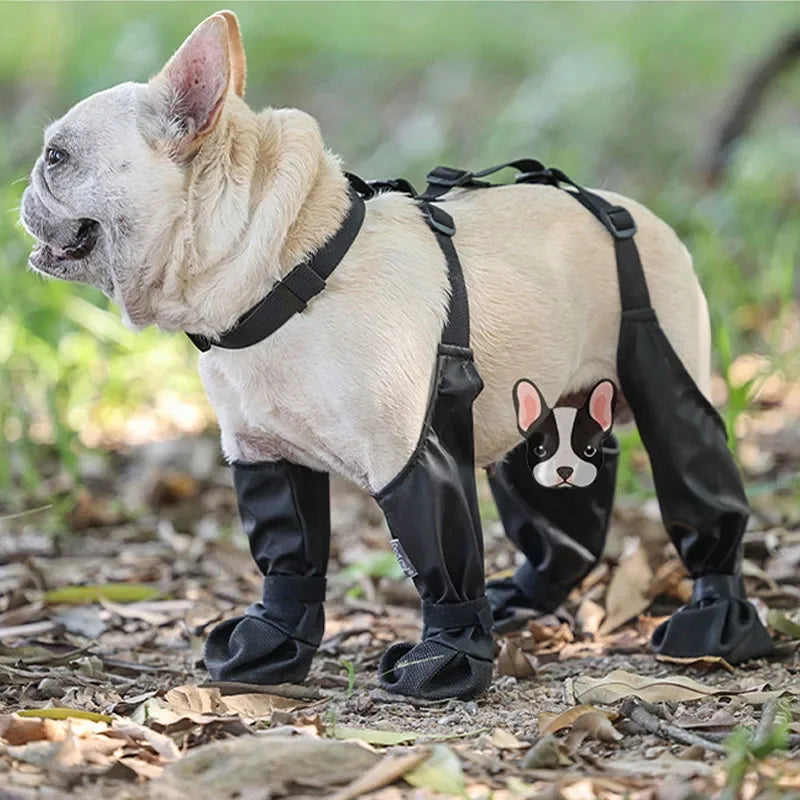 Best Anti-Slip Stylish Dog Shoes